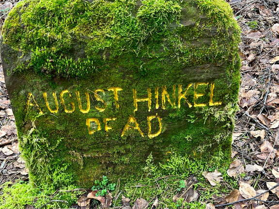 24-02-27 10-49-06 8733